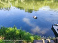 Issoire Plan d'eau Mas 03.jpg